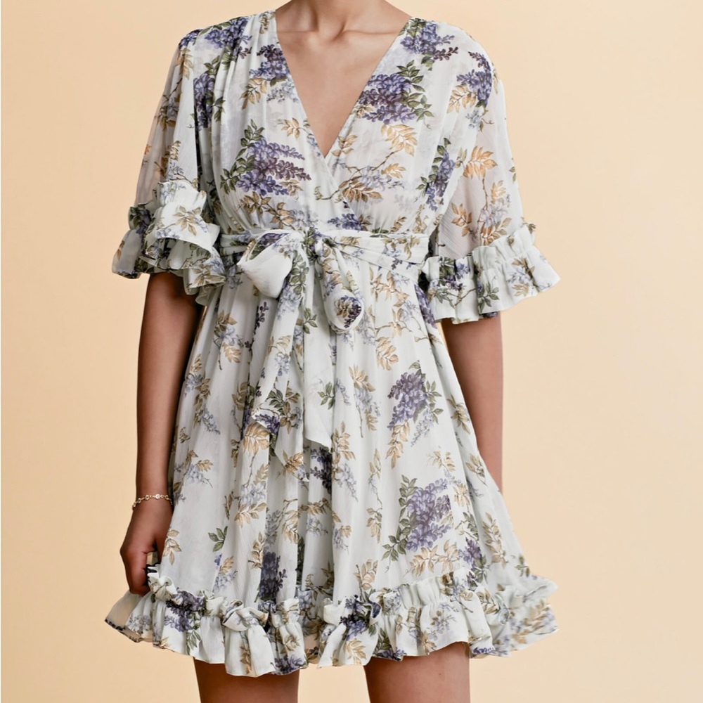 NWT Ruffle Chiffon Minidress BYTIMO Wallpaper Medium Dress